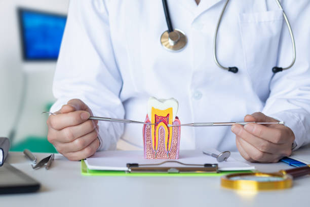 Best Broken Tooth Emergency  in Miami Shores, FL